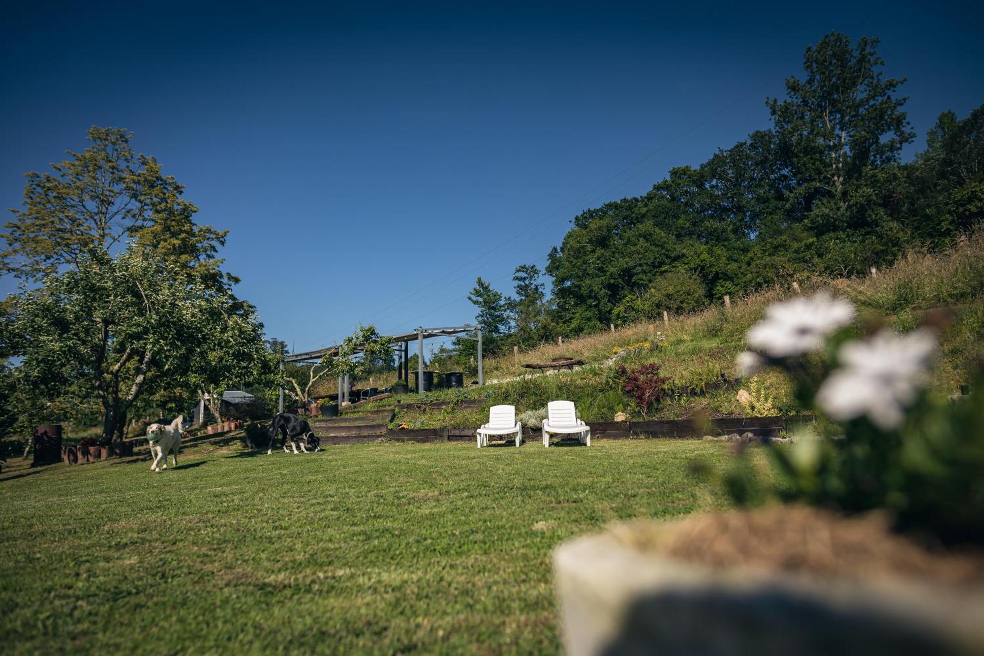 Finca La Naguada Casa Rural En Asturias Beloncio Dış mekan fotoğraf