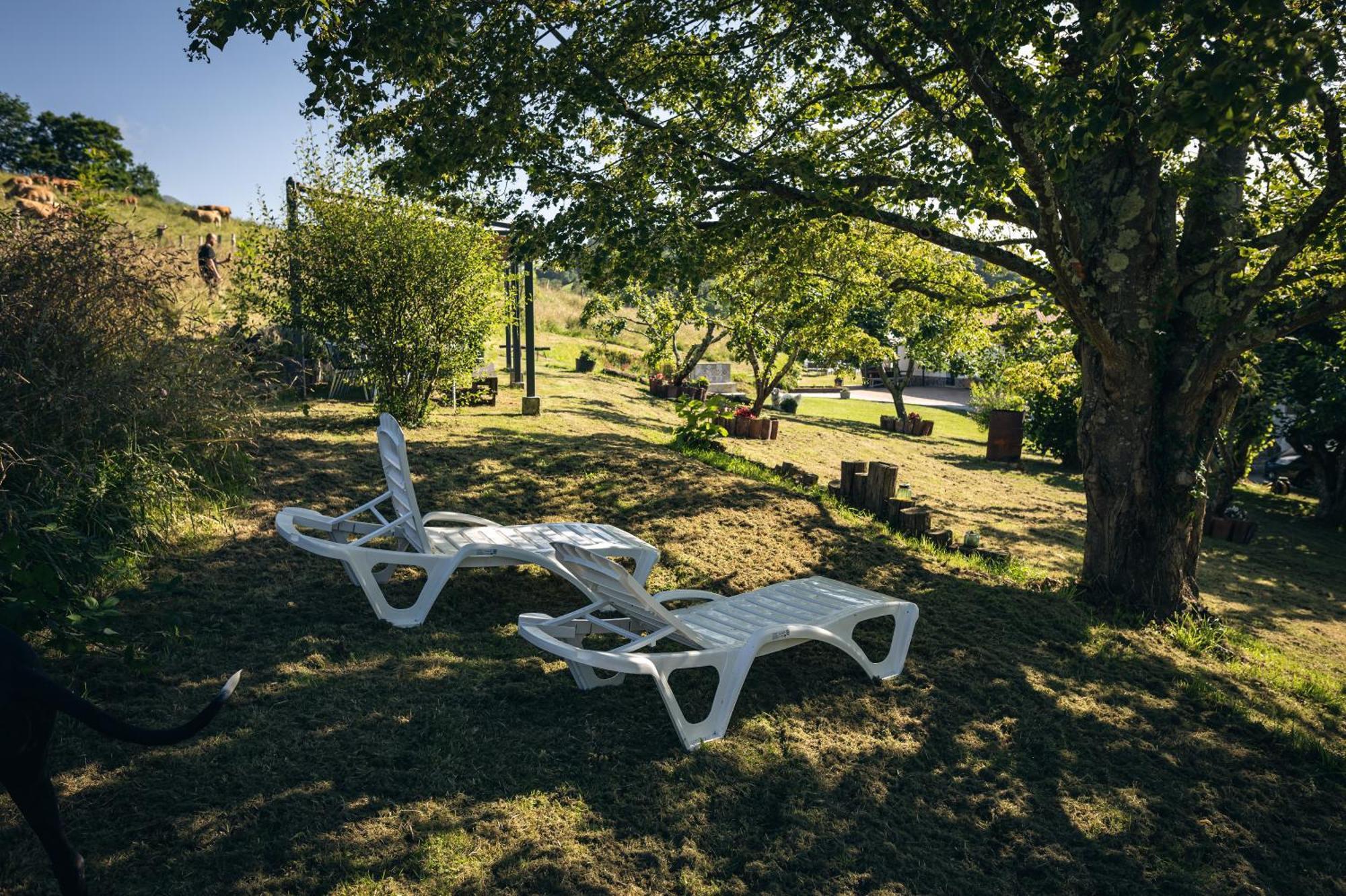 Finca La Naguada Casa Rural En Asturias Beloncio Dış mekan fotoğraf
