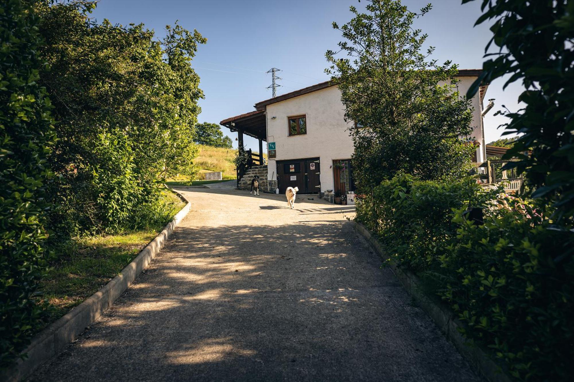Finca La Naguada Casa Rural En Asturias Beloncio Dış mekan fotoğraf