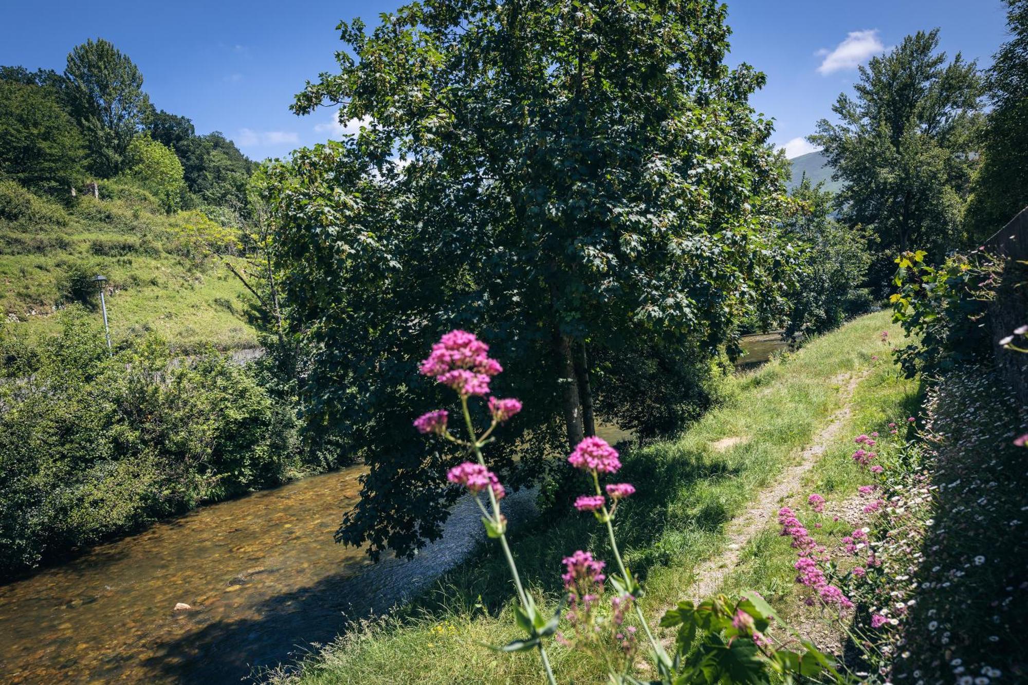 Finca La Naguada Casa Rural En Asturias Beloncio Dış mekan fotoğraf